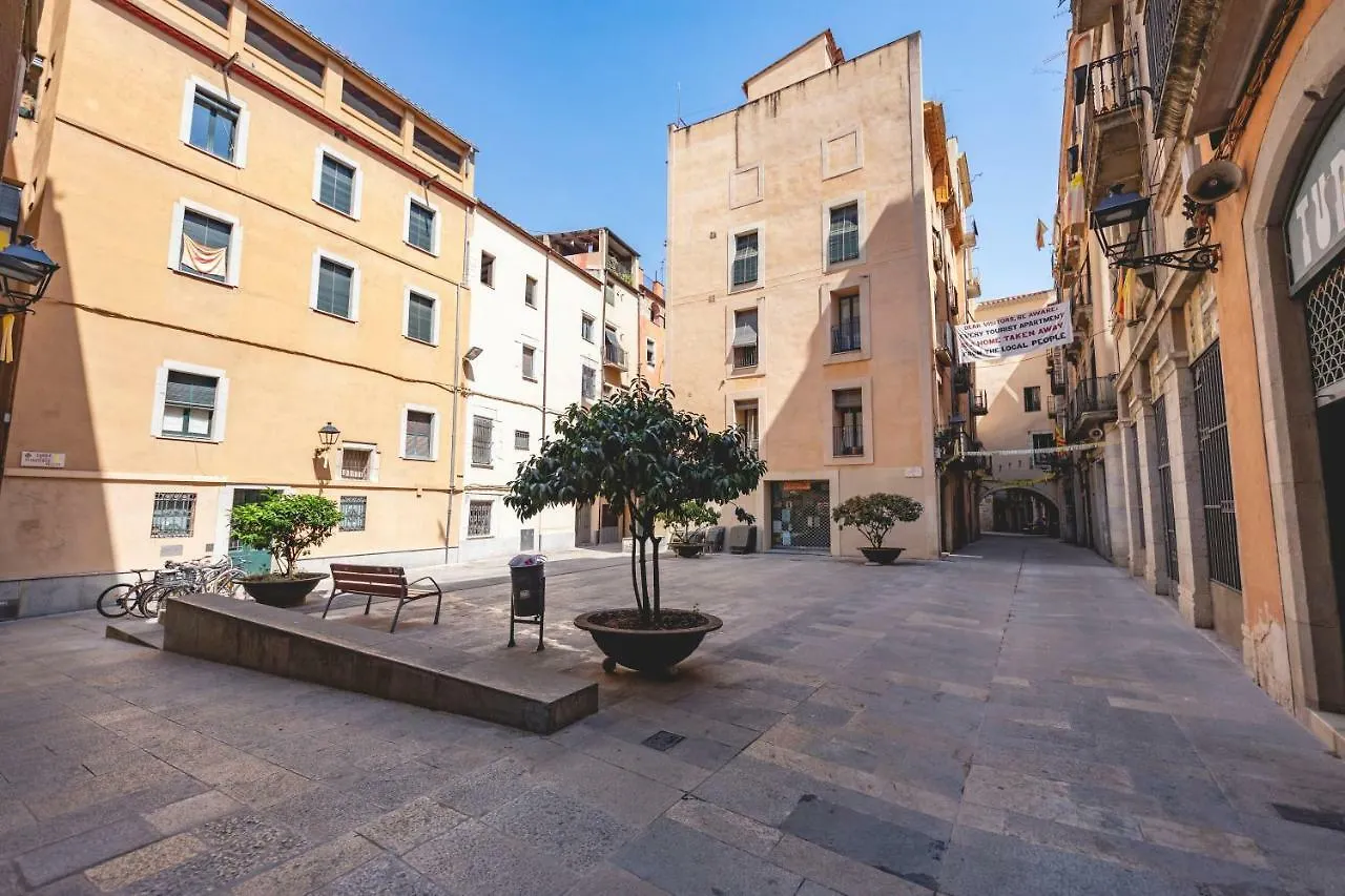 Bravissimo Mercaders 6 Girona Spain